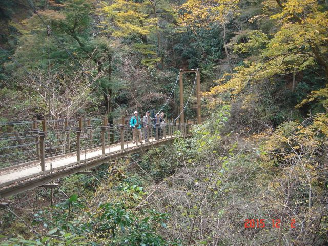 DSC08229_640.jpg